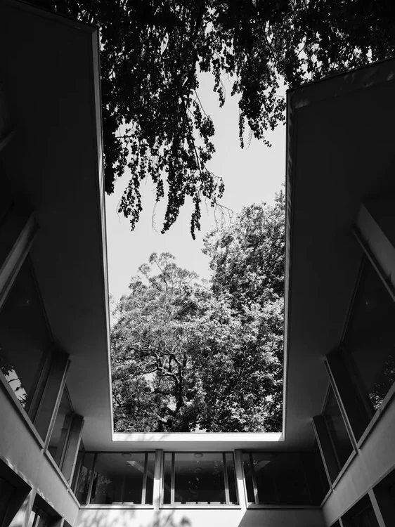 FAUP, Álvaro Siza · Porto — photograph 3 of 26