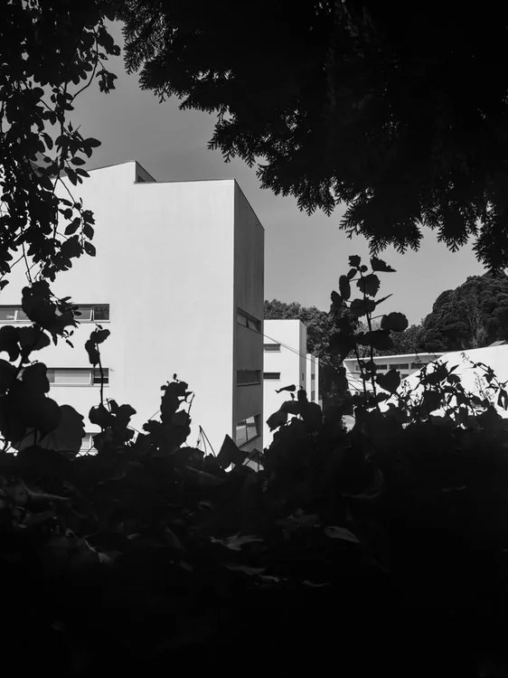 FAUP, Álvaro Siza · Porto — photograph 25 of 26