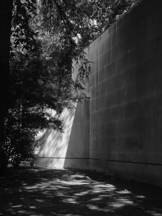 FAUP, Álvaro Siza · Porto — photograph 15 of 26