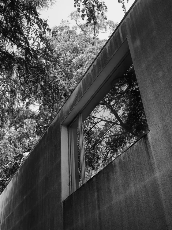 FAUP, Álvaro Siza · Porto — photograph 8 of 26
