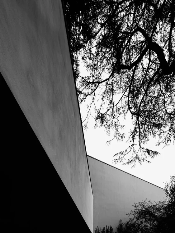 Serralves · Ala Siza, Álvaro Siza · Porto — photograph 18 of 26