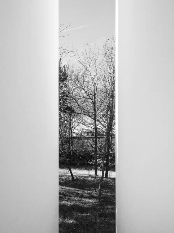 Serralves · Ala Siza, Álvaro Siza · Porto — photograph 23 of 26