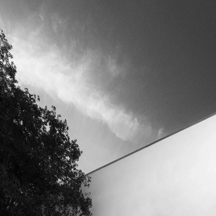 Serralves · Ala Siza, Álvaro Siza · Porto — photograph 21 of 26