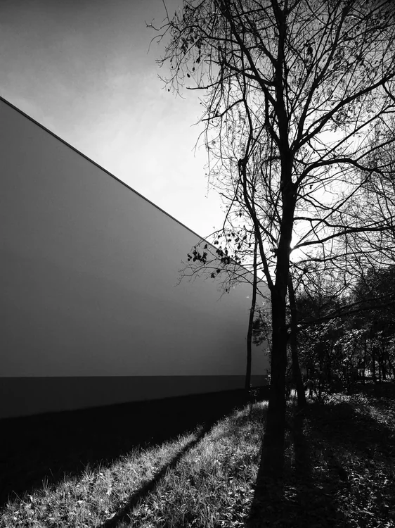 Serralves · Ala Siza, Álvaro Siza · Porto — photograph 7 of 26