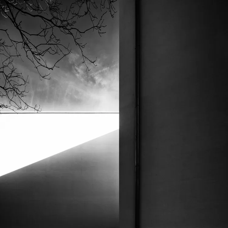 Serralves · Ala Siza, Álvaro Siza · Porto — photograph 26 of 26