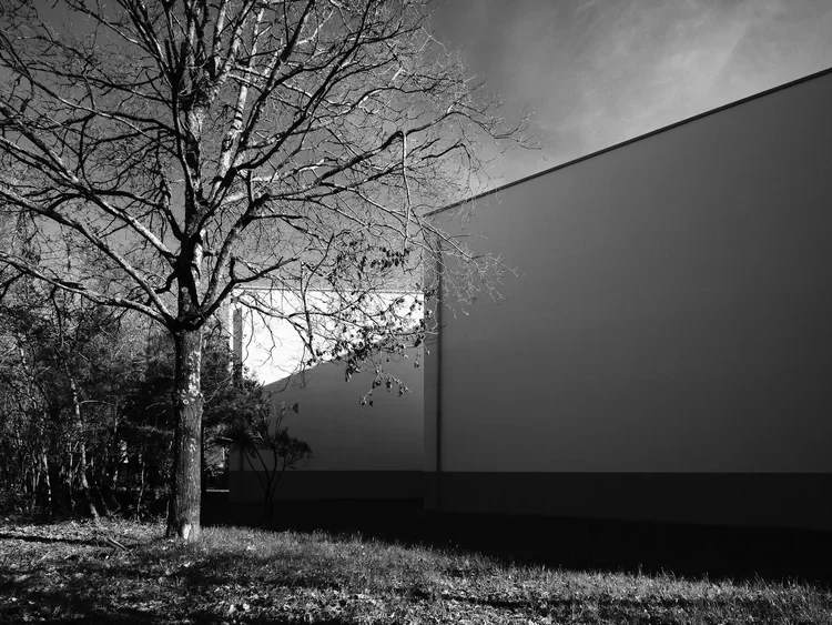 Serralves · Ala Siza, Álvaro Siza · Porto — photograph 19 of 26
