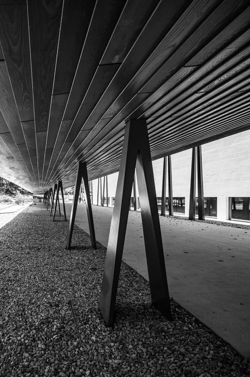 CAM Gulbenkian — photograph 19 of 24