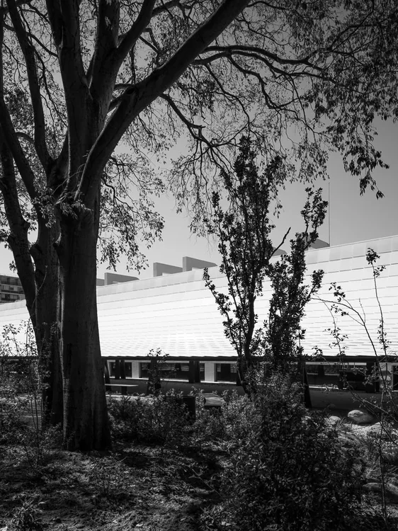 CAM Gulbenkian — photograph 17 of 24