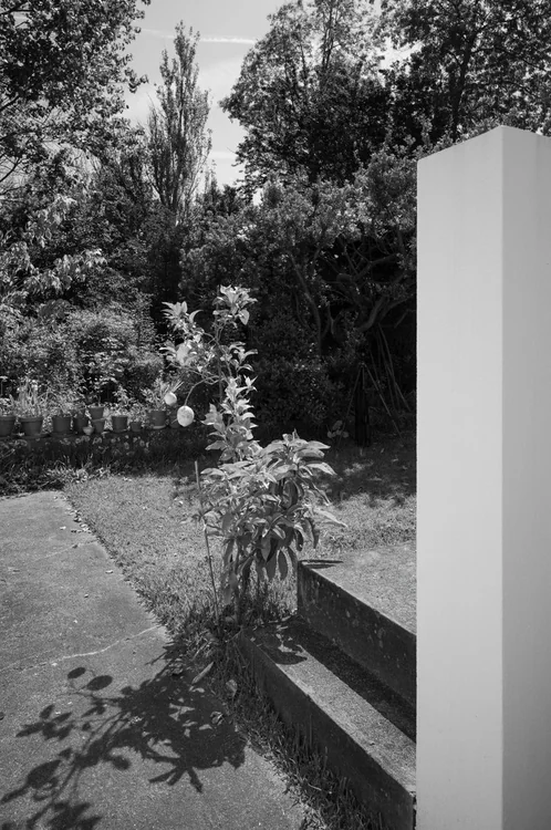 Casa Alves dos Santos, Álvaro Siza — photograph 26 of 26