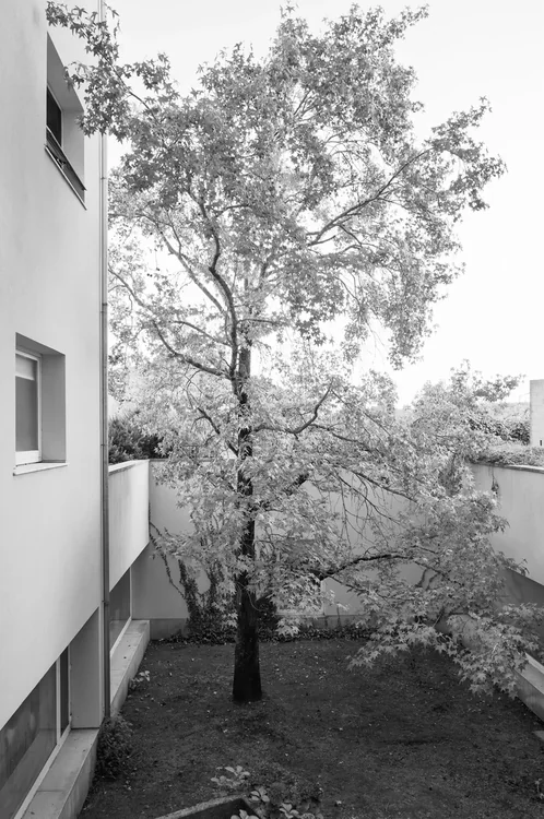 Souto de Moura Office, Eduardo Souto de Moura · Porto — photograph 15 of 26