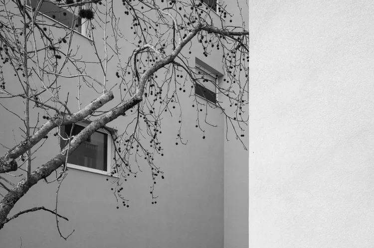 ALX · Aleixo Office Building, Álvaro Siza · Porto — photograph 7 of 26